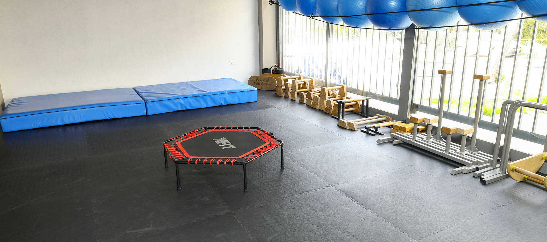 School of Calisthenics