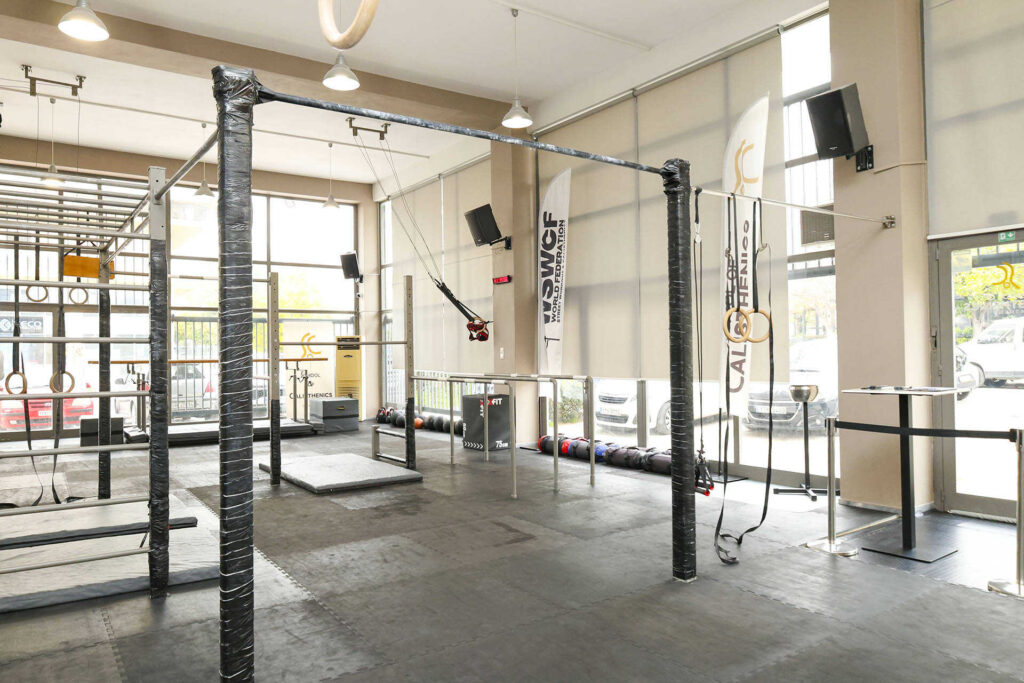 School of Calisthenics