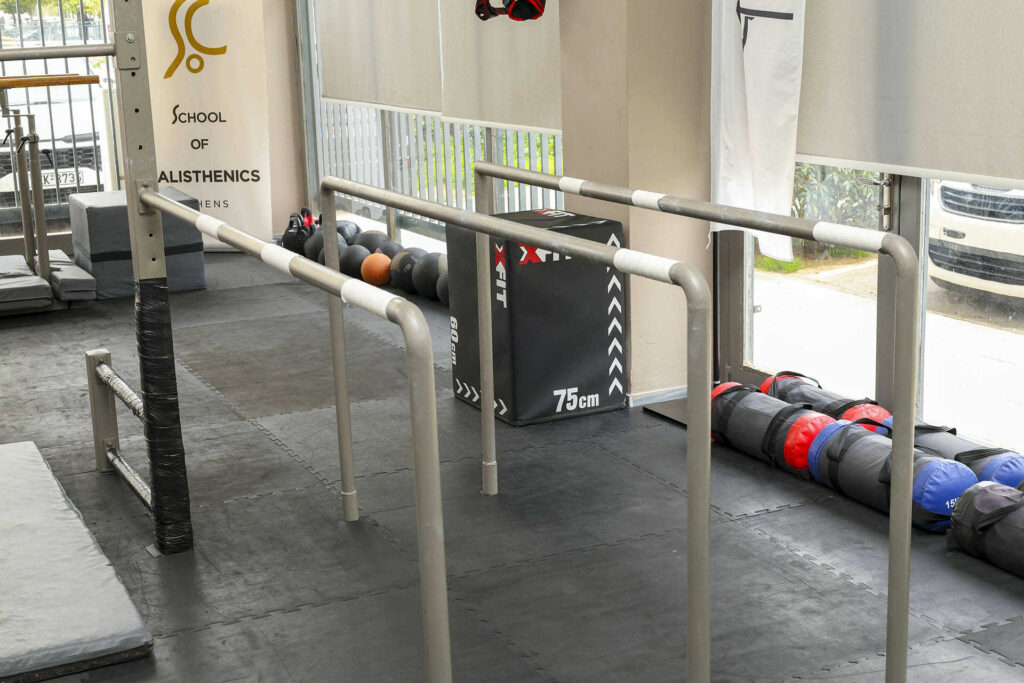School of Calisthenics