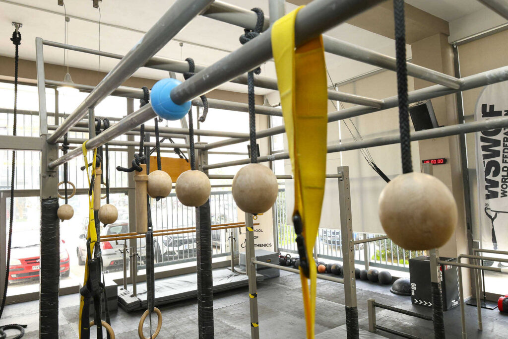 School of Calisthenics